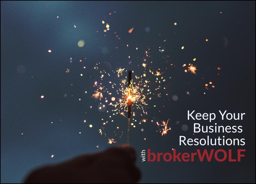 lwolf keep your business resolutions brokerwolf