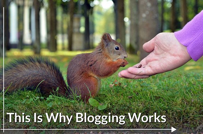 tomato Why Blogging Works