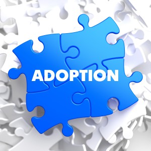 adoption 300x300 1