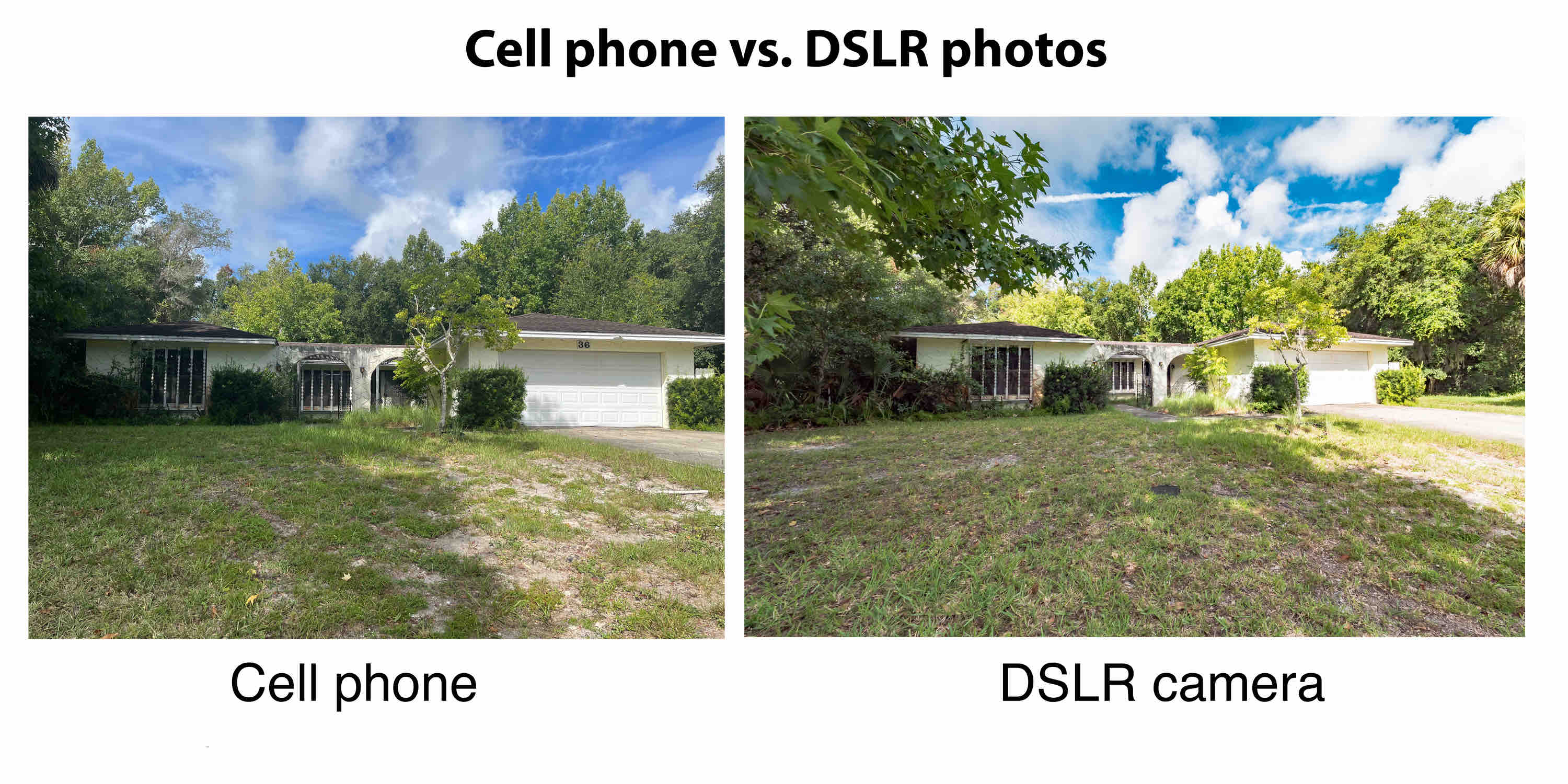 homejab Cell DSLR compare 3