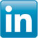 LinkedIn IN Icon 55px